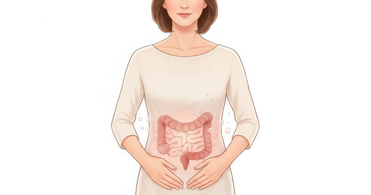 Illustration of a woman's abdomen with the intestine visible and gas bubbles, showing why perimenopause bloating happens